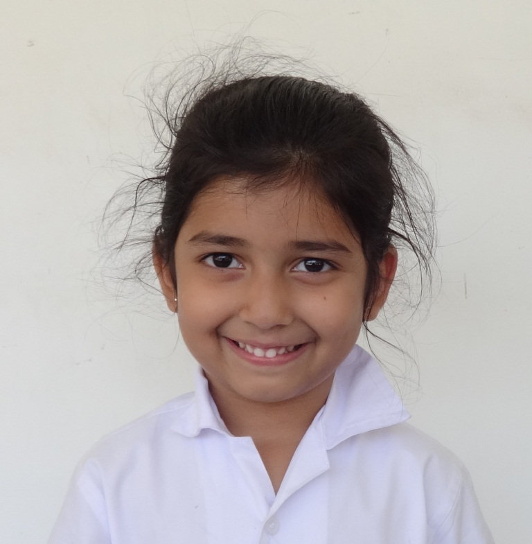 Delhi Public School Anand